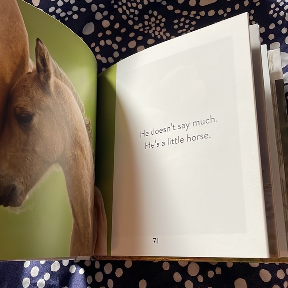 Animal Puns: Quack Me Up Book - Picture 7 of 7